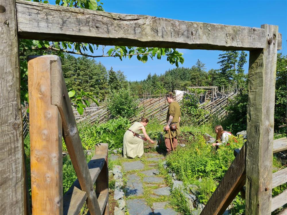 Vikinger i urtehagen - Klikk for stort bilde