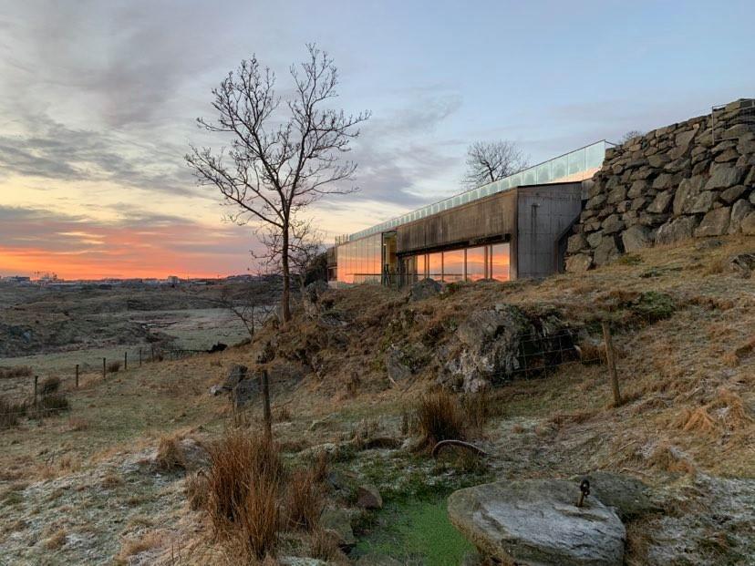 Click for large image