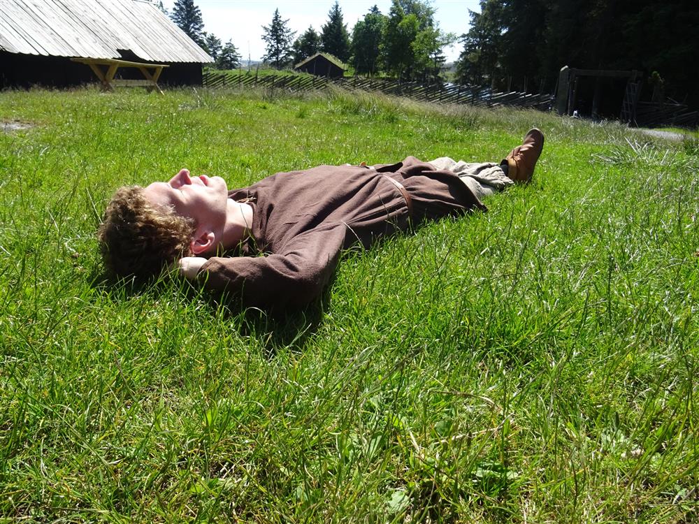 Viking slapper av i gresset - Klikk for stort bilde